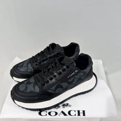 WhatsApp Image 2025-03-11 at 12.05.51 PM (2)